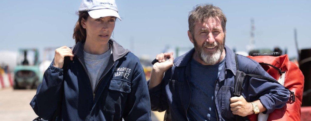 actualité los tigres